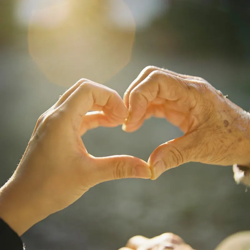 Young and elderly hands forming heart shape together, soft backlight with lens flare